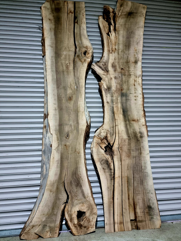 Walnut  up to a length of 3.3m