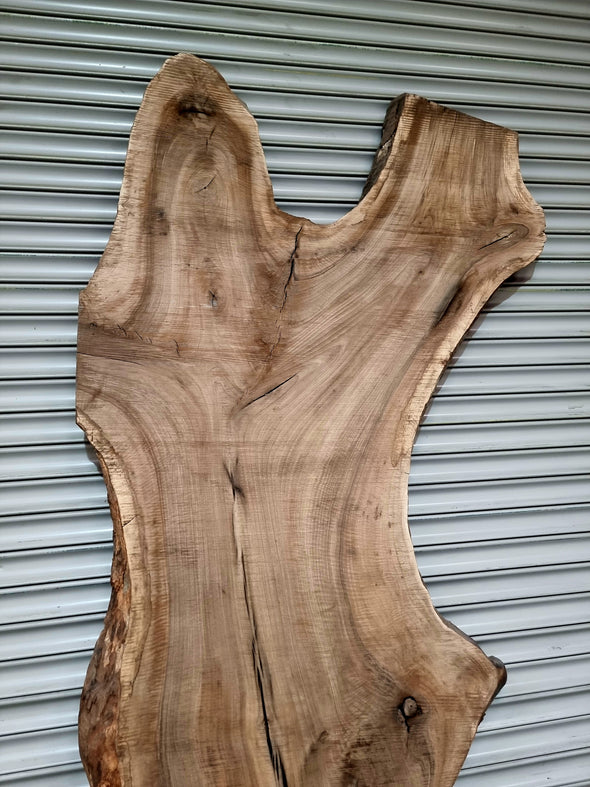 Walnut up to a length of 2.5m