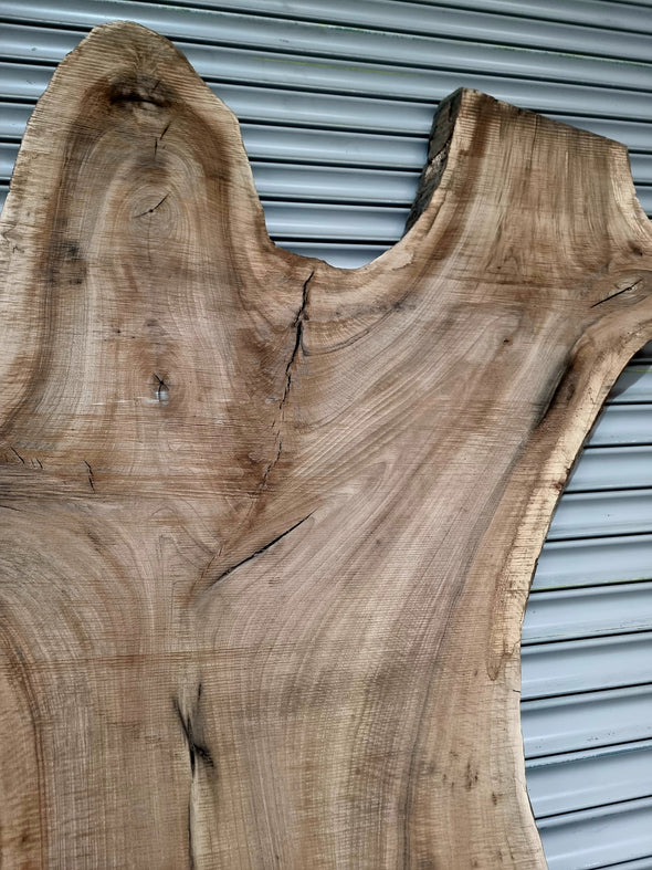 Walnut up to a length of 2.5m