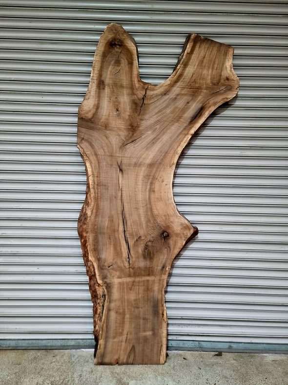 Walnut up to a length of 2.5m