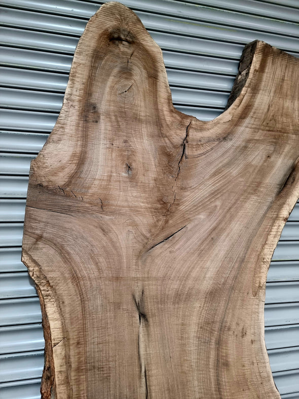 Walnut up to a length of 2.5m