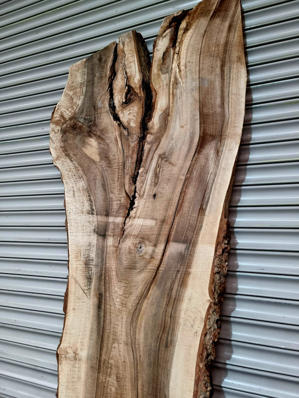 Walnut up to a length of 2.3m