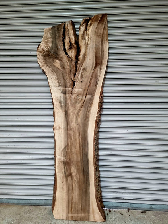 Walnut up to a length of 2.3m