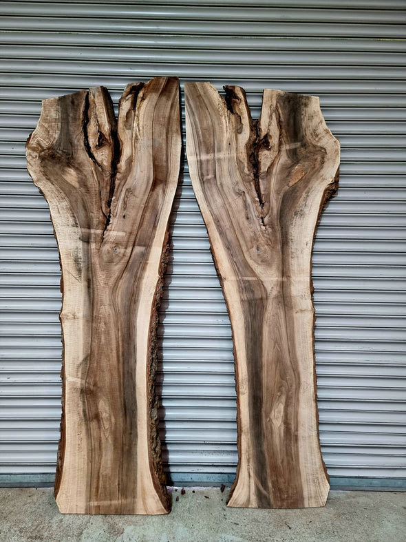 Walnut up to a length of 2.3m