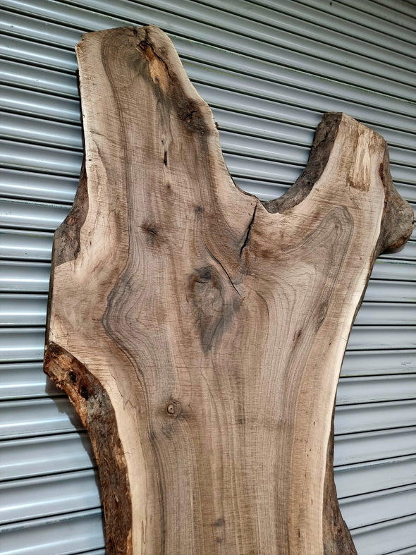 Walnut up to a length of 2.6m