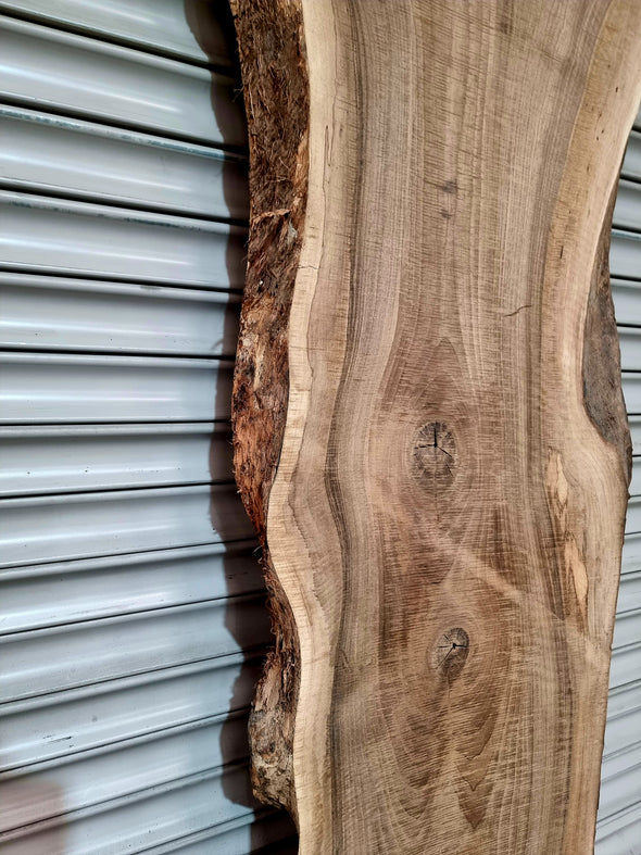 Walnut up to a length of 2.6m