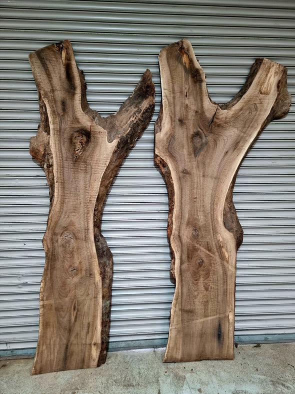 Walnut up to a length of 2.6m