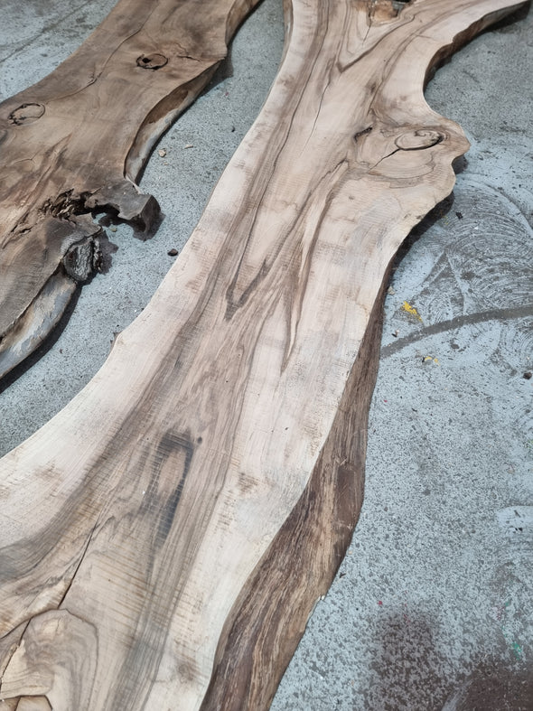 Walnut up to a length of 4.3m