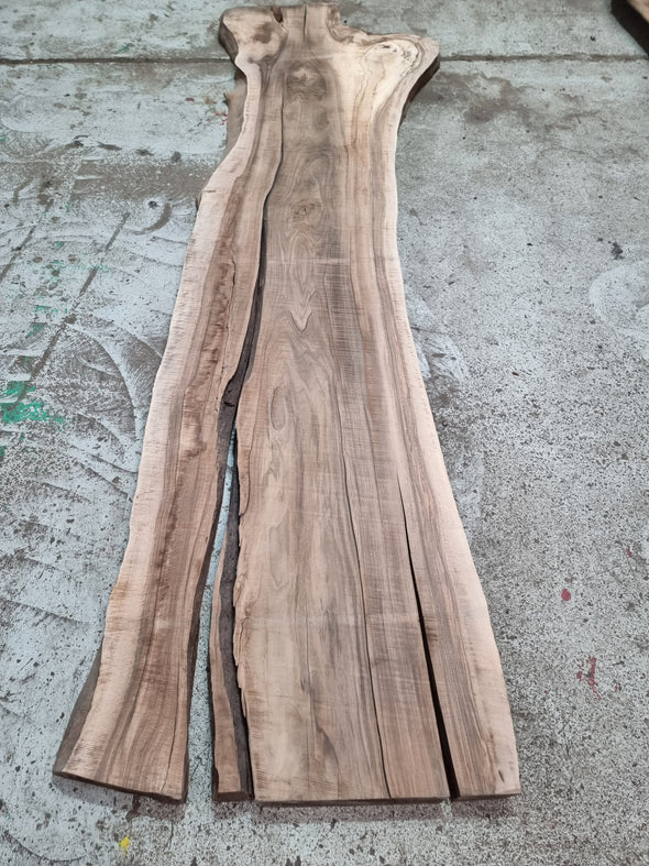 Walnut  up to a length of 2.8m