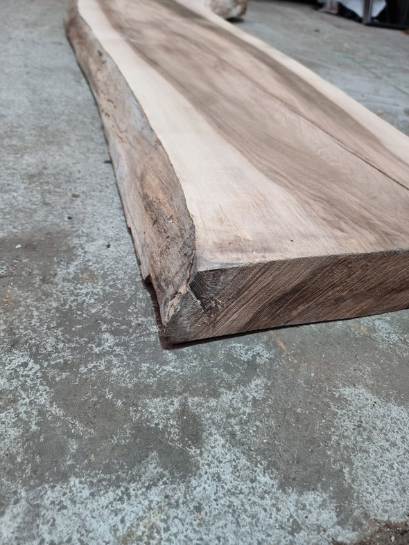 Walnut up to a length of 2.4m