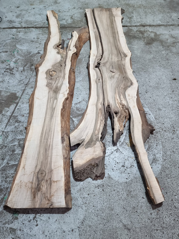 Walnut  up to a length of 2.4m