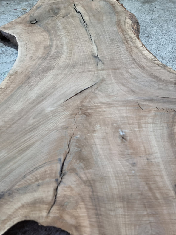 Walnut up to a length of 2.5m