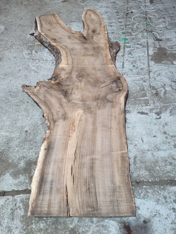 Walnut up to a length of 2.5m