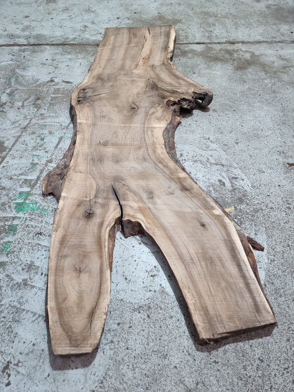 Walnut up to a length of 2.5m