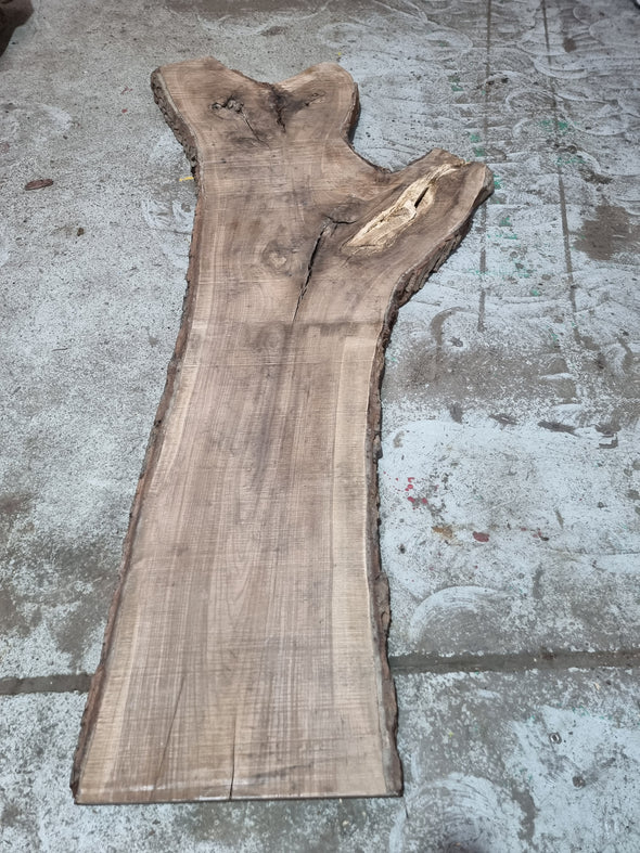 Walnut up to a length of 2.7m