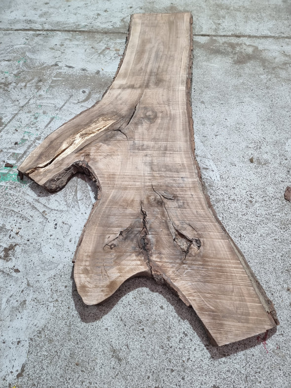 Walnut up to a length of 2.7m