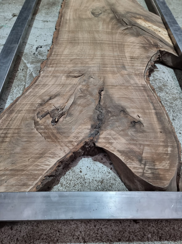 Walnut up to a length of 2.7m