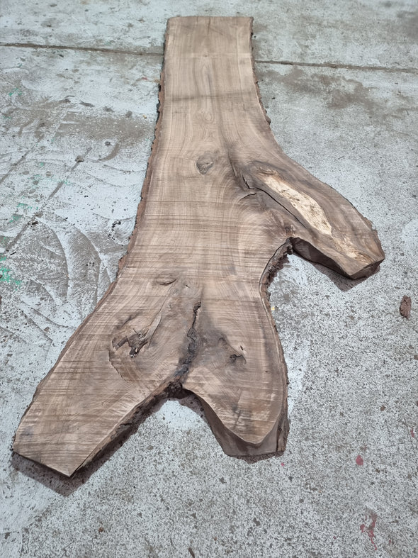 Walnut up to a length of 2.7m