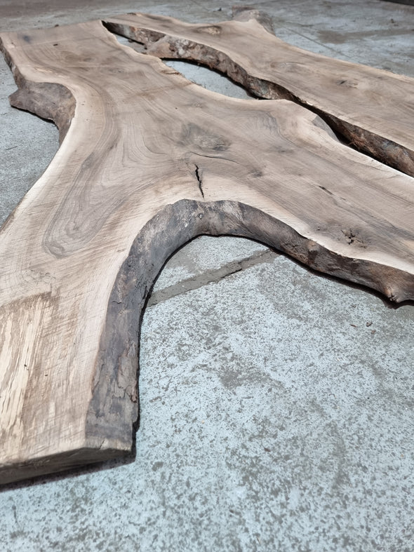 Walnut up to a length of 2.6m