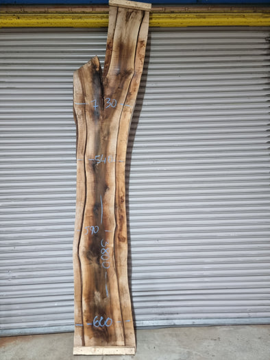 Live Edge Walnut Slab