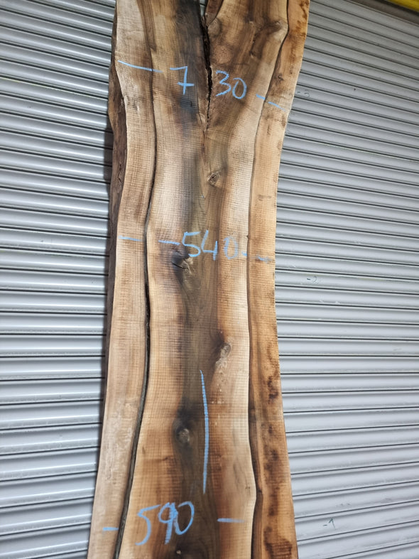 Live Edge Walnut Slab