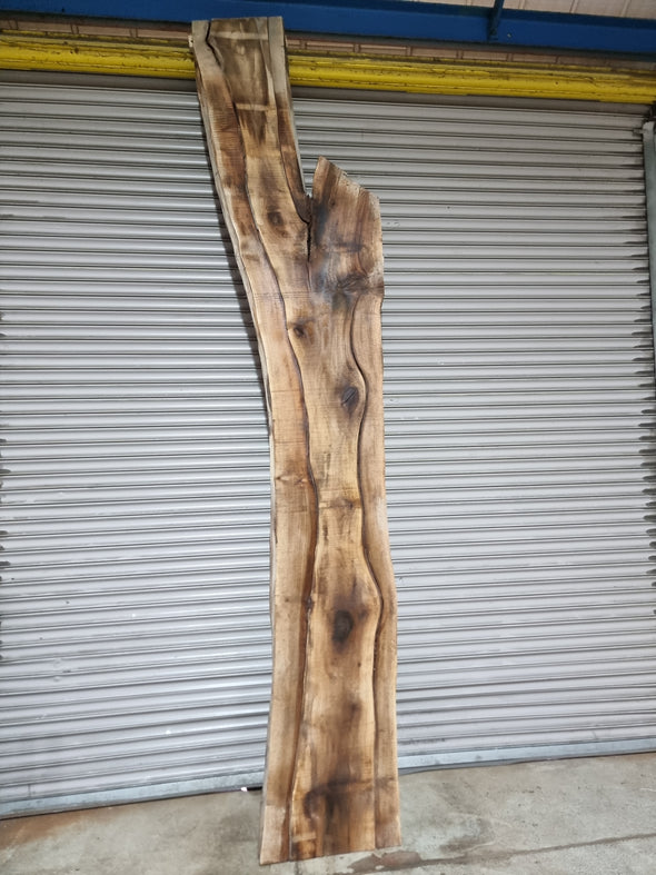 Live Edge Walnut Slab