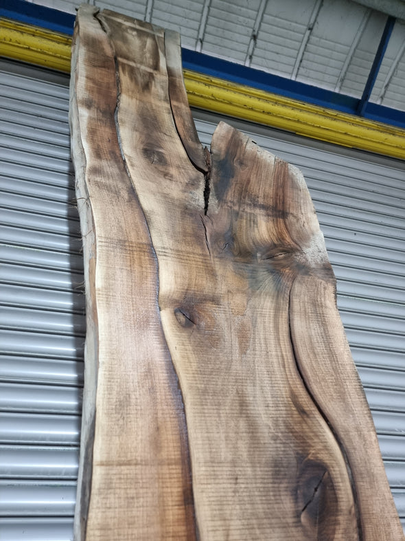 Live Edge Walnut Slab