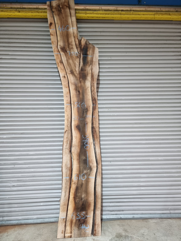 Live Edge Walnut Slab