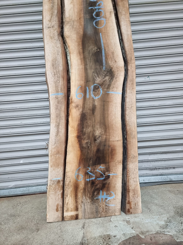 Live Edge Walnut Slab