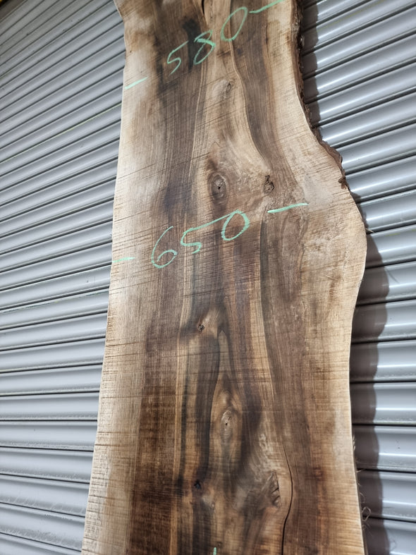 Live Edge Walnut Slab