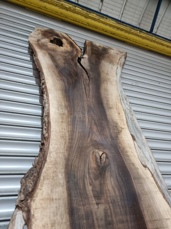 Live Edge Walnut Slab