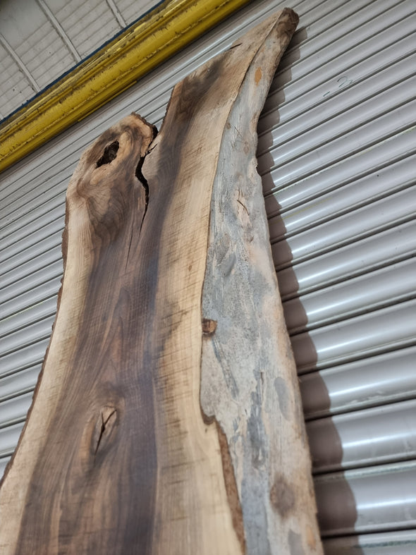 Live Edge Walnut Slab