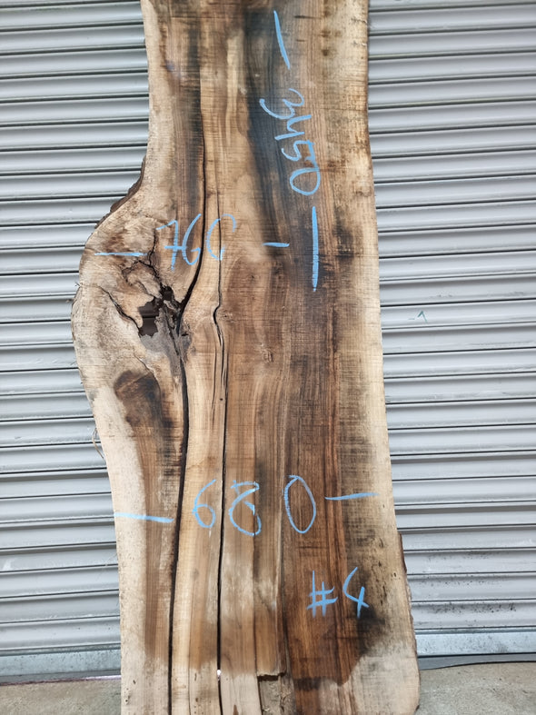 Live Edge Walnut Slab