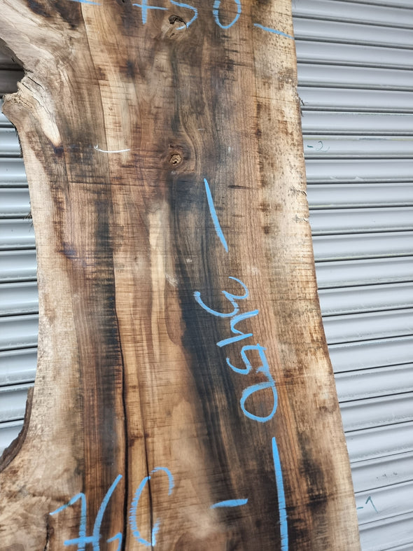 Live Edge Walnut Slab