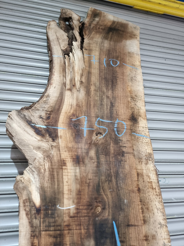 Live Edge Walnut Slab