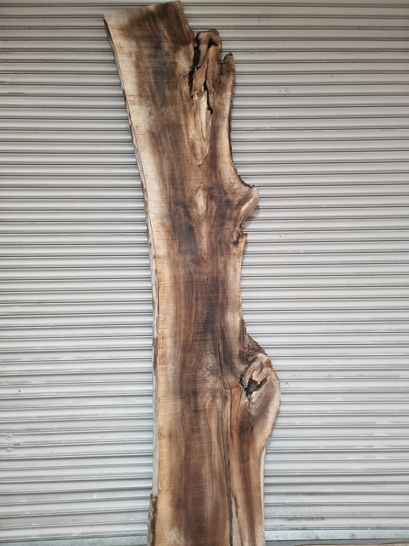 Live Edge Walnut Slab