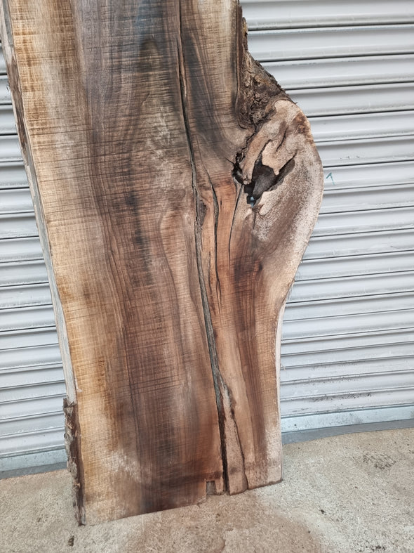 Live Edge Walnut Slab