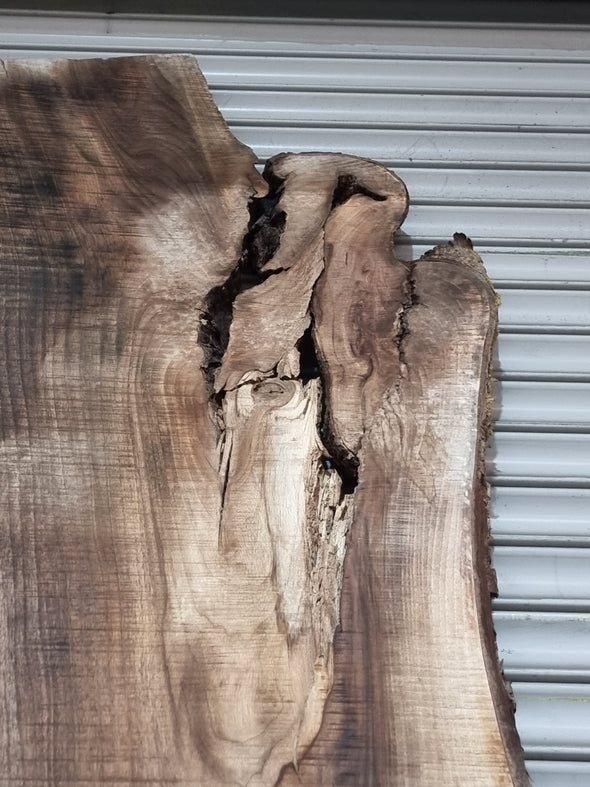 Live Edge Walnut Slab