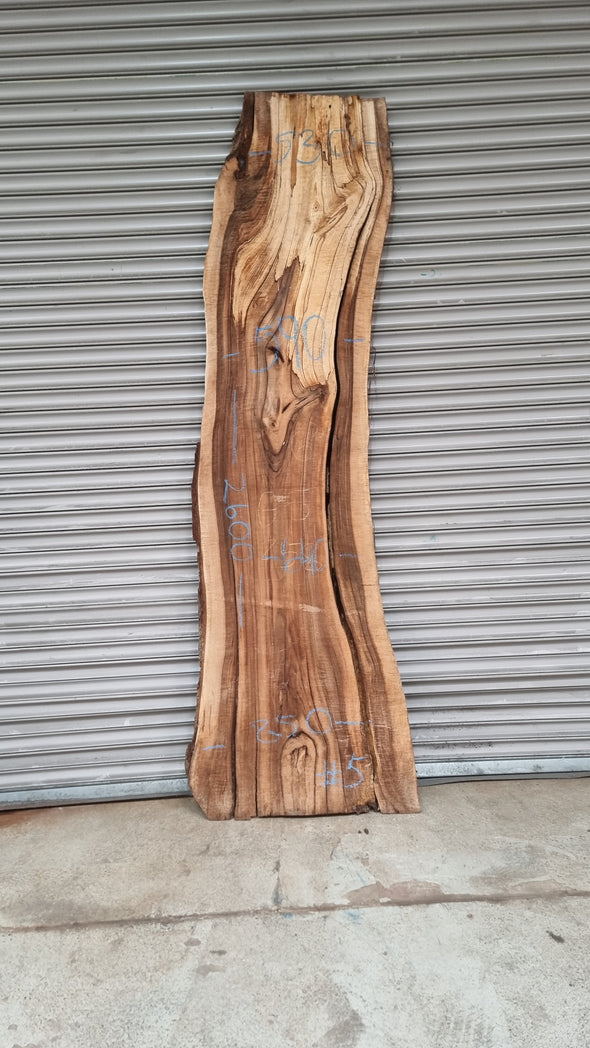 Live Edge Walnut Slab