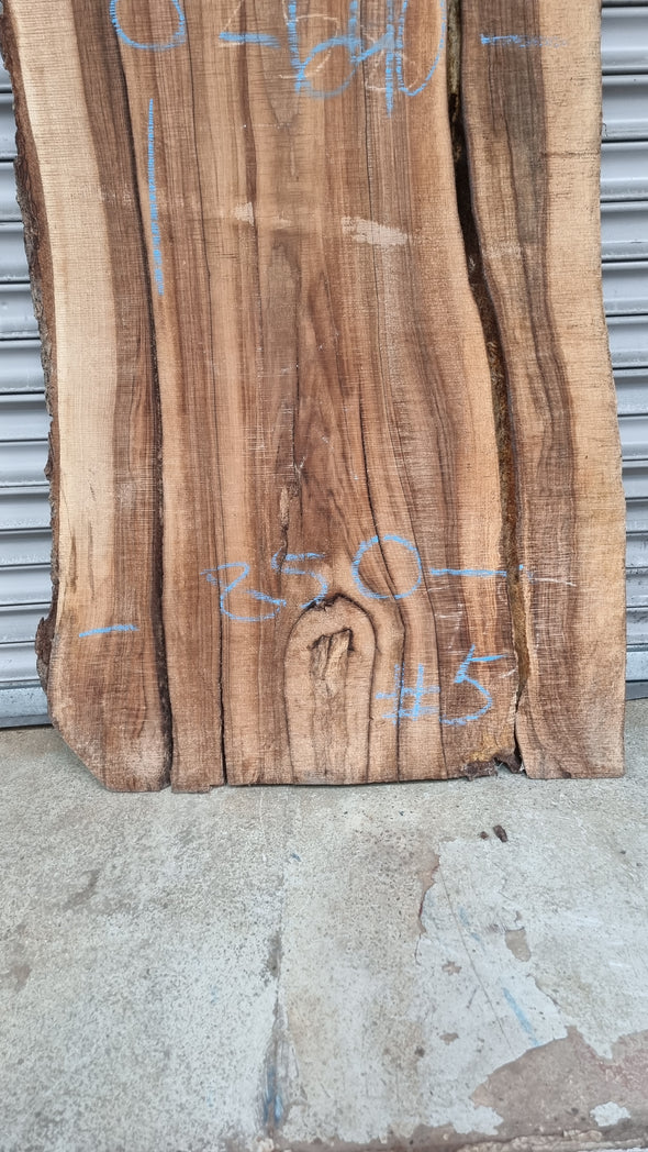 Live Edge Walnut Slab