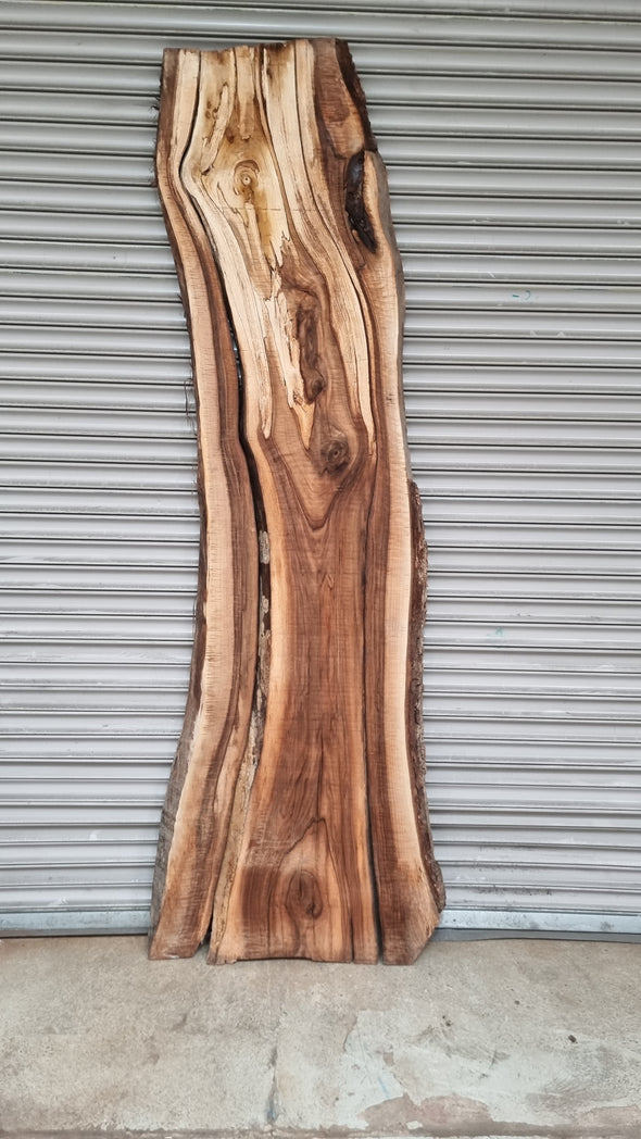 Live Edge Walnut Slab