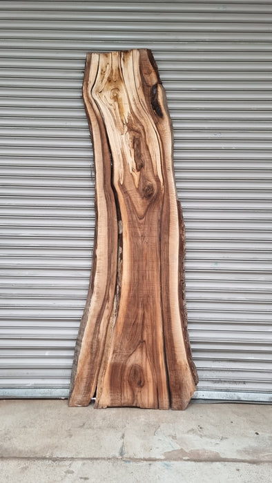 Live Edge Walnut Slab