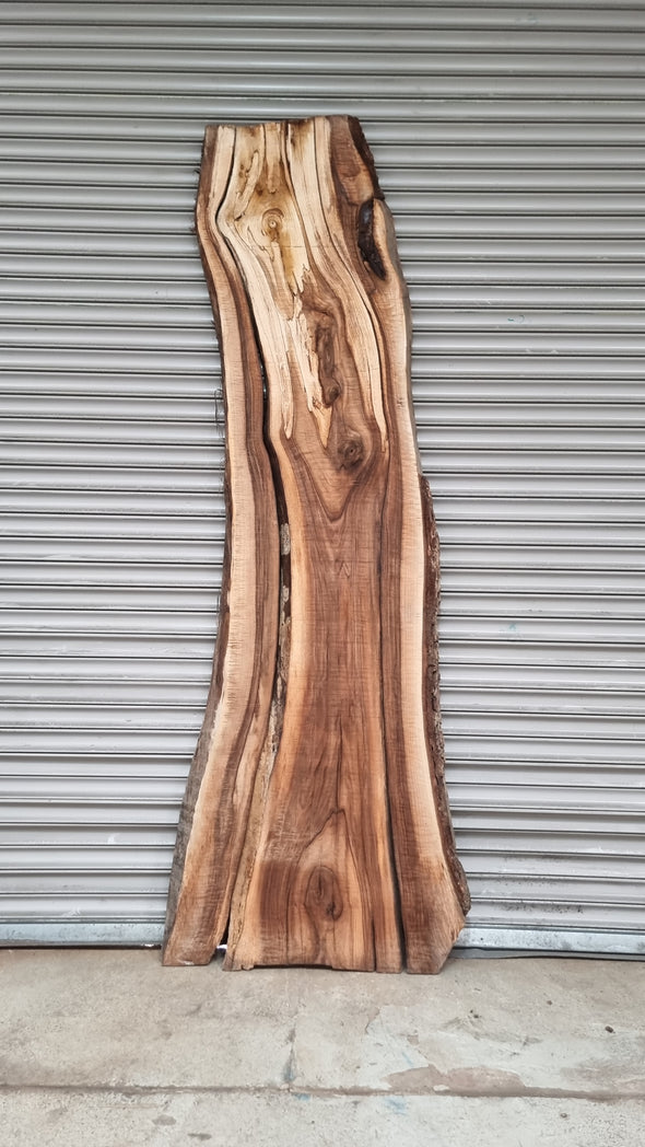 Live Edge Walnut Slab