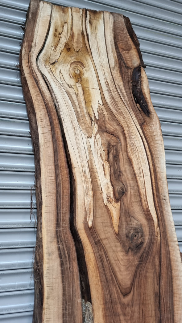 Live Edge Walnut Slab