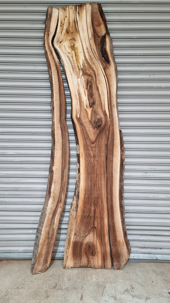 Live Edge Walnut Slab