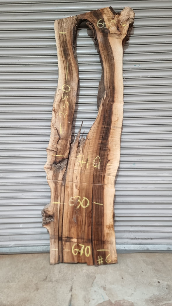 Live Edge Walnut Slab