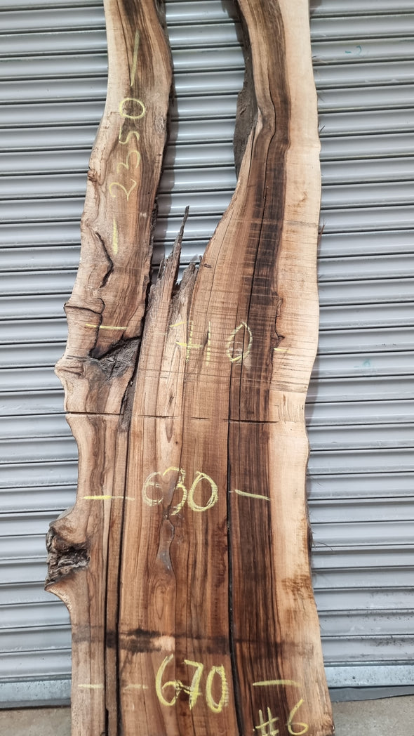 Live Edge Walnut Slab