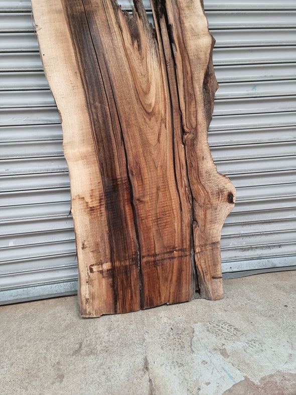 Live Edge Walnut Slab