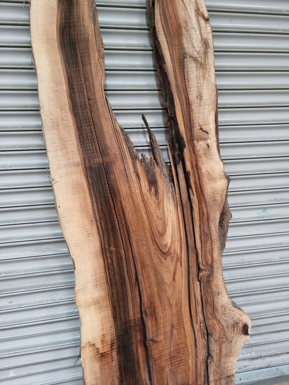 Live Edge Walnut Slab