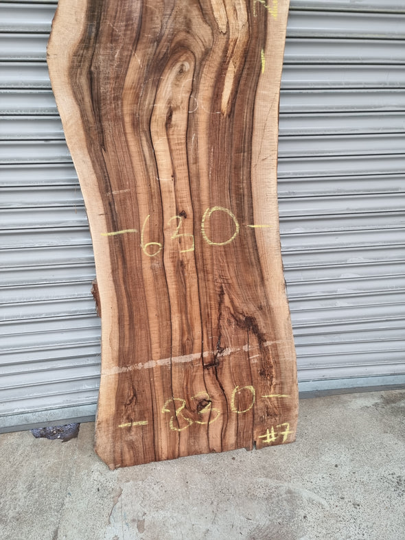 Live Edge Walnut Slab